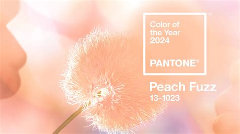 春天顏色代表|Pantone 2021春夏流行色彩！金盞花橘、焦紅珊瑚、。